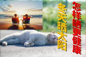 冬天晒太阳，不同的时间段适合晒不同的地方，你学会了吗？视频封面