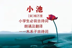 《小池》杨万里:小荷才露尖尖角， 早有蜻蜓立上头。小学必背古诗视频封面