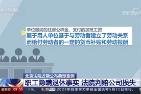 北京法院近期公布典型案例 职工隐瞒退休事实 法院判赔公司损失视频封面
