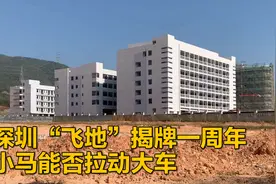 深圳“飞地”揭牌一周年 小马能否拉动大车视频封面