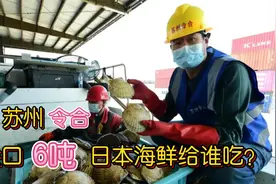 苏州，又是苏州？进口6吨日本海鲜给谁吃？视频封面