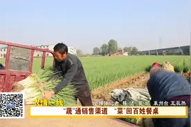 “蔬”通销售渠道   “菜”回百姓餐桌视频封面