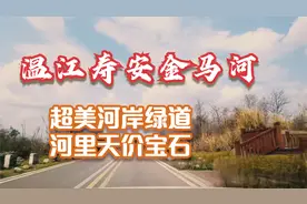 能捡到天价石头！成都温江寿安（玉石）汪家湾金马河超宽超美河滩视频封面