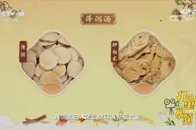 泽泻汤中炒白术能够更好地健脾燥湿，可治疗痰饮型眩晕丨健康之路视频封面