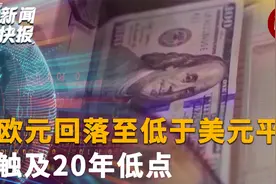 欧元回落至低于美元平价触及20年低点视频封面