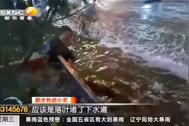 短时降雨致路面积水严重，快递小哥徒手清理落叶排积水|都市快报视频封面