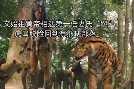 人文始祖黄帝得到第一任妻子“嫘”虎口脱险，回到有熊氏部落！视频封面