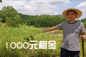 老乡花了1000元租50亩荒地，养殖山羊年赚10多万，就是有些害怕视频封面