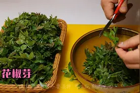 春天，遇到花椒芽一次多囤些，鲜嫩营养，比吃香椿强，炸着吃特香视频封面