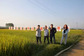 广西桂平市纯农湾富硒香米生产基地视频封面