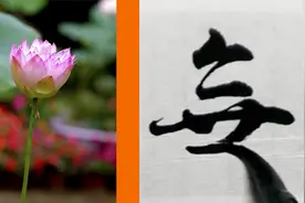 心经摘写：心无挂碍；无挂碍故，无有恐怖。视频封面