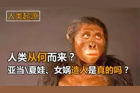世界上的人从哪来的？人都是女人生的？第一个人是男人还是女人？视频封面