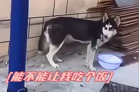 能不能把音乐关了，让我吃个饭！
