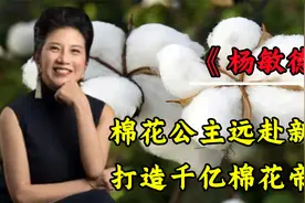 “棉花公主”杨敏德，哈佛毕业却远赴新疆26年，打造千亿棉花帝国视频封面