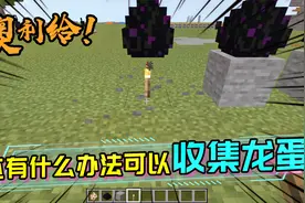 MC龙蛋的各种收集方法，这些方块原来活塞全都推不动？