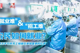 三农快评 “就业难”&“招工难”，农民如何就业？视频封面
