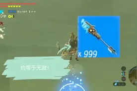 【塞尔达传说】速刷999古代箭！从此变成无敌！视频封面