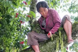 疯女人想要个孩子，怀不上就在肚子上画一个，农村催泪电影视频封面