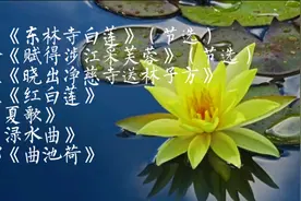 古诗词中的花木 | 荷花诗七首：红白莲花开共塘，两般颜色一般香视频封面