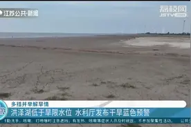 干旱蓝色预警！洪泽湖：水面离岸边超百米，水草芦苇全裸露！