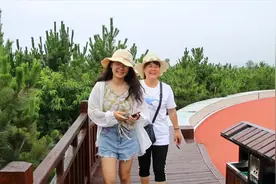 山东日照森林公园免费开放了，里面到底有多美？一起来看看吧视频封面