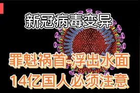 新冠病毒变异大爆发！幕后元凶浮出水面，14亿国人务必要注意！视频封面