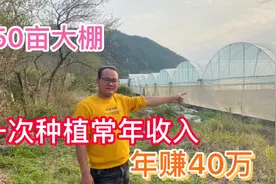 农村最具前景的大棚种植，老乡承包50亩年赚40万，看看是种什么的视频封面