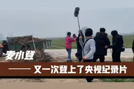 麦小登又又登上央视，回乡照顾父亲，终成凤凰涅槃视频封面