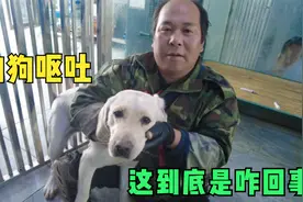 狗狗吐白沫可把老舅吓坏，但是精神状态却很好，这到底是咋回事视频封面