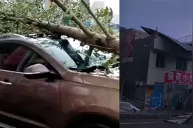 四川巴中遭遇狂风大雨冰雹 大风吹倒树木砸汽车民房钢顶损毁严重视频封面