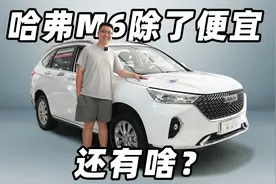 比哈弗H6更有性价比的选择？哈弗M6的行情赶紧了解一下视频封面