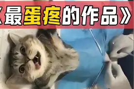 男性结扎手术全过程，痛，太痛了！视频封面