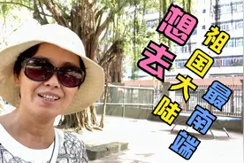 北京阿姨坐动车途中自己转座椅变方向，想去祖国大陆最南端怎样了视频封面