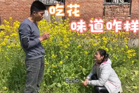 农村小伙清理菜地，摘一朵油菜花，现场打样直接吃，味道如何？视频封面