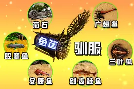 方舟翻车雷鱼筐驯：广翅鲎鮟鱇鱼腔棘鱼菊石三叶虫食人鱼剑齿鲑鱼视频封面