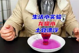 生活小实验：瓶子里倒酒精就能制造龙吸水？土豆真能在水里漂浮？视频封面
