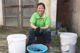 鸭蛋8毛钱一个，农村媳妇土方法腌制咸鸭蛋，金黄流油，你看咋样视频封面
