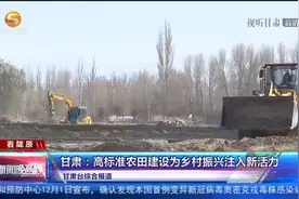 甘肃：高标准农田建设为乡村振兴注入新活力