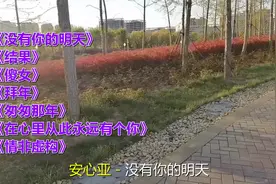《没有你的明天》《结果》《傻女》《拜年》《匆匆那年》视频封面
