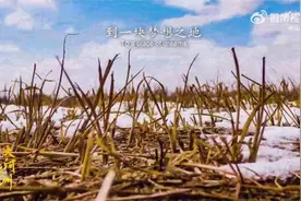 山东用镜头全景式展现黄河入海口风貌，每一帧都美到让人心颤！视频封面