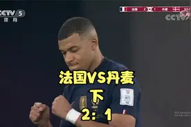 卡塔尔世界杯法国VS丹麦下半场（2：1）视频封面