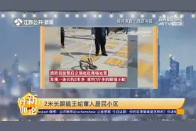 蛇出没！广东一居民小区惊现2米长眼镜王蛇，消防员到场轻松制服视频封面