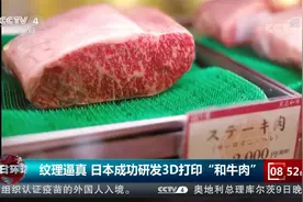 纹理逼真 日本成功研发3D打印“和牛肉”视频封面