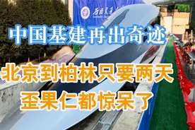 中国基建再出奇迹，北京到柏林只要两天，歪果仁惊呆了视频封面