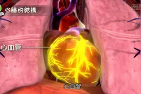 认识心脏功能与结构视频封面