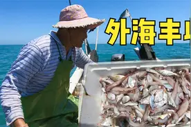 阿阳夫妻到外海捕鱼，收获比内海多十几倍，鱼箱爆满差点忙不过来视频封面