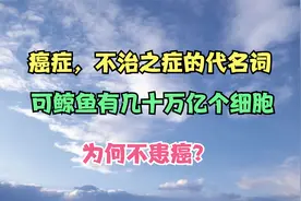 癌症，不治之症的代名词。可鲸鱼有几十万亿个细胞，为何不患癌？视频封面