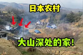 日本公婆为啥要拆掉百年老房？看完他们在山上建的房子，我明白了视频封面
