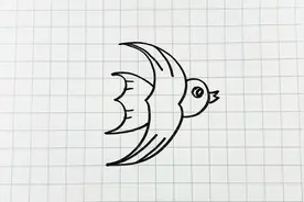 用3个3画小鸟，简单易学！视频封面