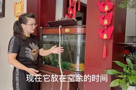 家里鱼缸脏了如何清洗，这个方法简单方便而且洗的很干净视频封面